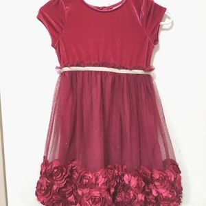 Girls Formal/Holiday dress